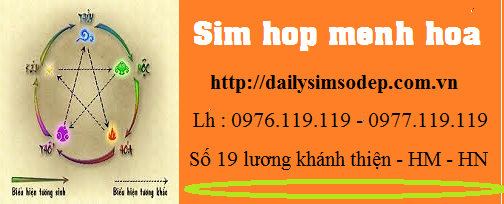 sim hop menh hoa