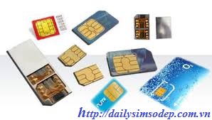 tai sao chon sim phong thuy