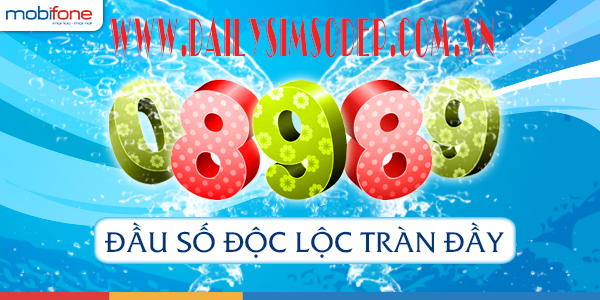 sim đầu 08989