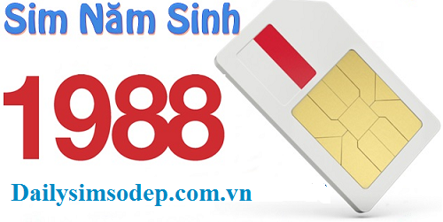 sim nam sinh 1988