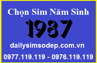 sim so dep nam sinh 1987