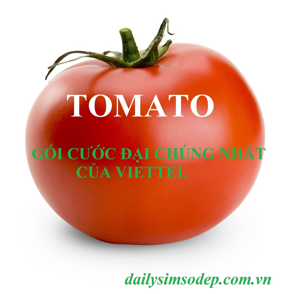 gói cước Tomato của Viettel 