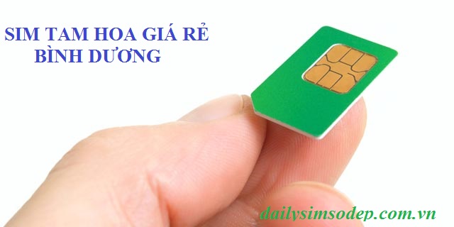 sim tam hoa giá rẻ ở Bình Dương