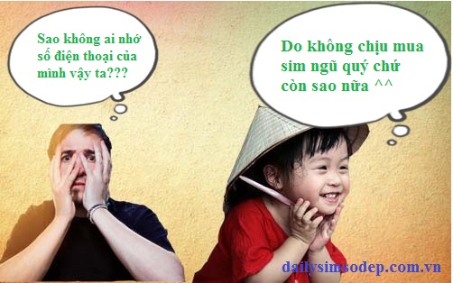 Mua sim ngũ quý giá rẻ 