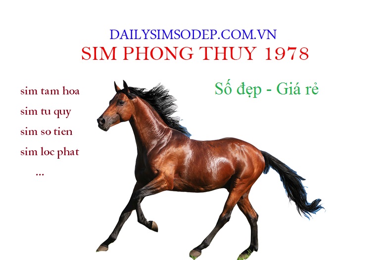 sim hợp tuổi 1978