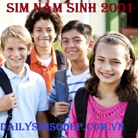 SIM NĂM SINH 2001