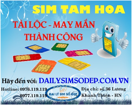 Sim tam hoa - Cách mua sim tam hoa giá rẻ
