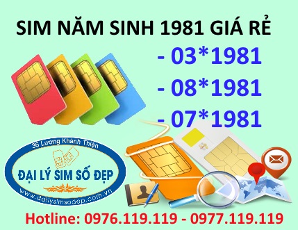 Sim năm sinh 1981 giá rẻ đầu số 03, 08, 07 mới
