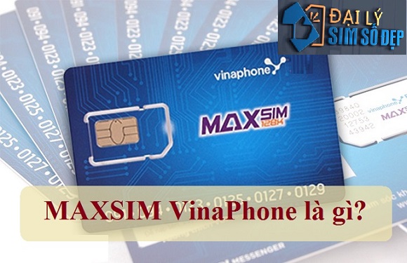 maxsim vinaphone