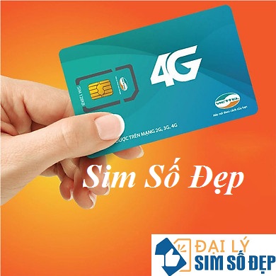 Chơi sim số đẹp – Xu hướng của giới trẻ Việt
