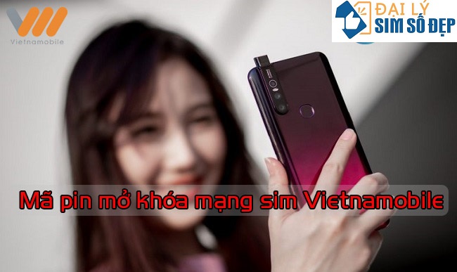 Mã pin mở khóa mạng sim Vietnamobile