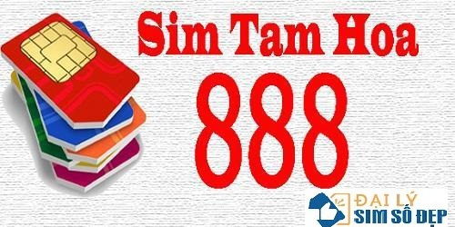 sim-tam-quy-888_1