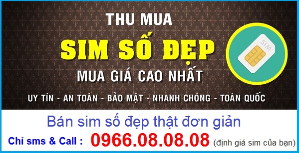 Thu Mua Sim Số Đẹp Giá Cao Tại Hà Nội & Tphcm