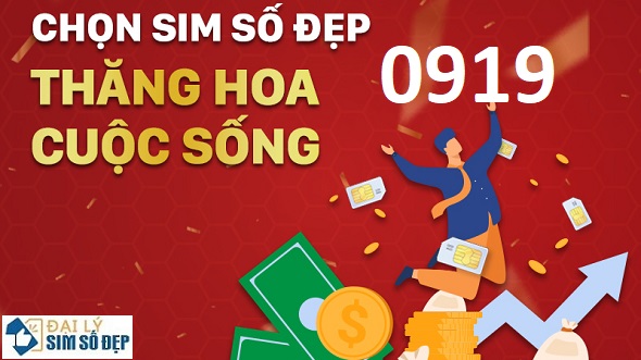 Một số lưu ý khi chọn SIM đầu số 0919