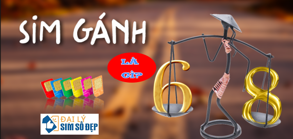Tìm hiểu sim Gánh Đảo là gì, ý nghĩa và bí ẩn của sim gánh đảo